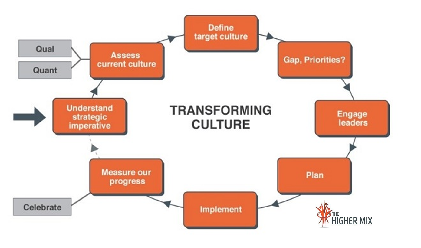 Culture Change Process Model   The Higher Mix
